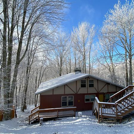 Cozy Cabin With Boosted Wi-Fi Beech Mountain Εξωτερικό φωτογραφία